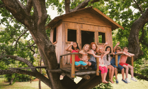 Versteckt im Blätterdach – Baumhäuser als Rückzugsort für Kinder