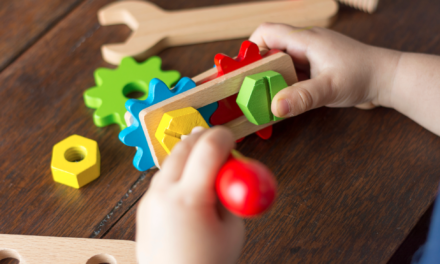 Wie Holzspielzeug die Entwicklung von Kindern unterstützt