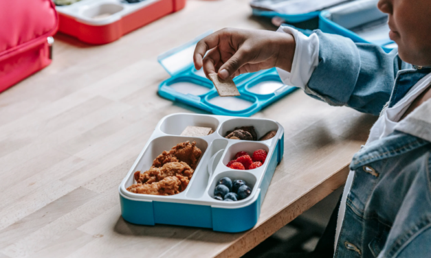 Leckeres Essen für die Schule: 7 Tipps für eine abwechslungsreich, gepackte Brotbox für Kinder 