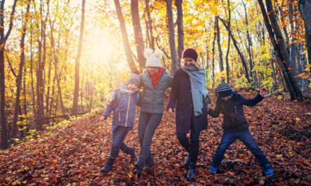 Warum Waldspaziergänge mit Kindern im Herbst besonders sind￼